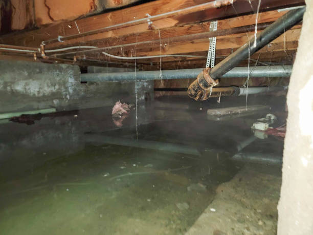 Best Flooded house restoration  in Soap Lake, WA