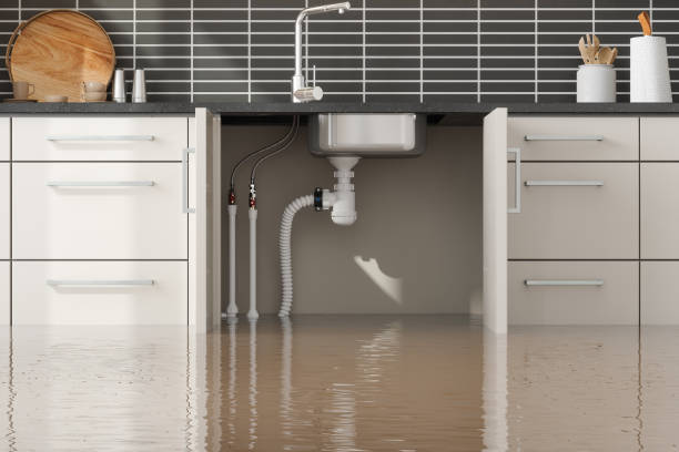 Best Ceiling water damage repair  in Soap Lake, WA
